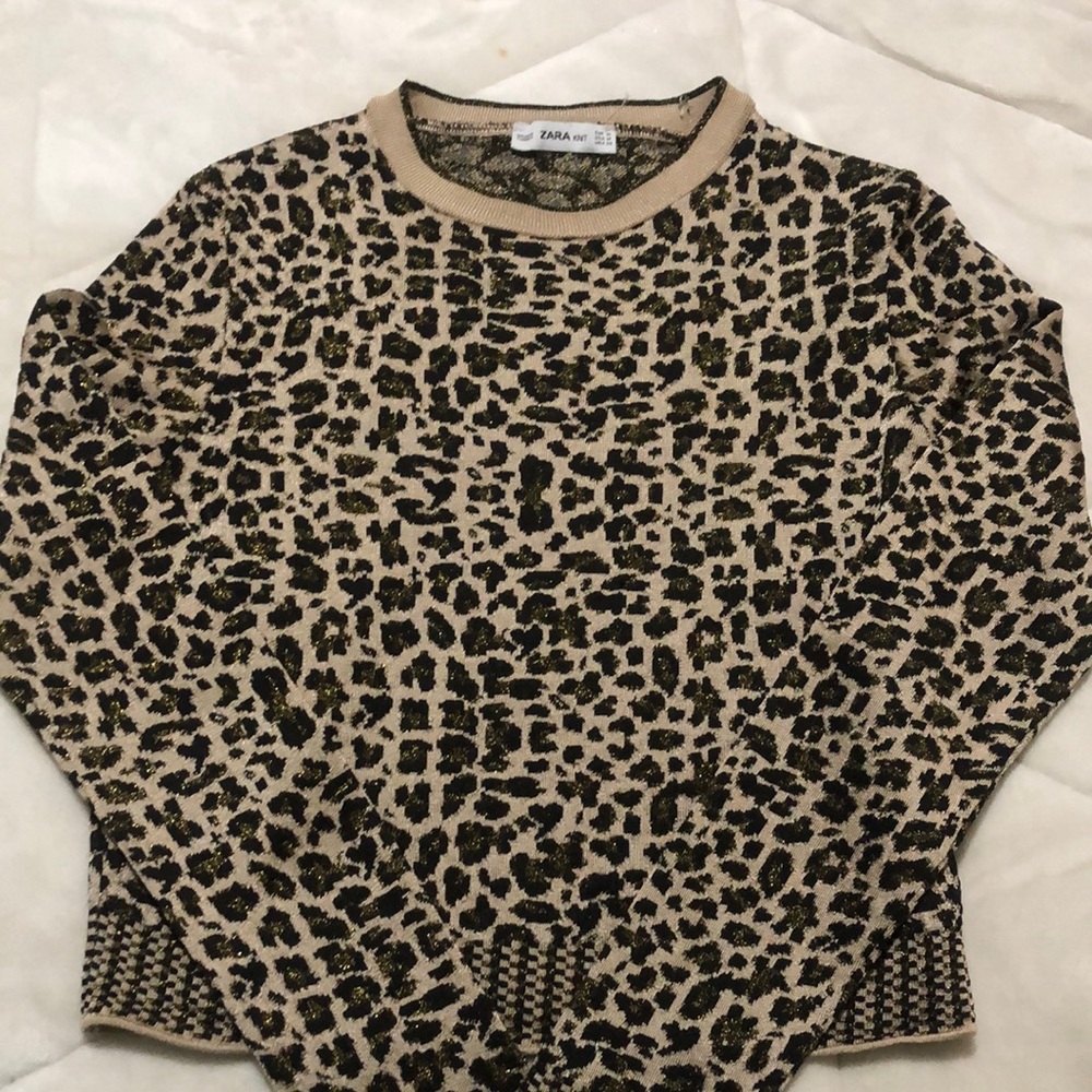zara sweater